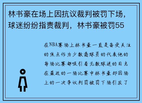 林书豪在场上因抗议裁判被罚下场,球迷纷纷指责裁判,林书豪被罚55